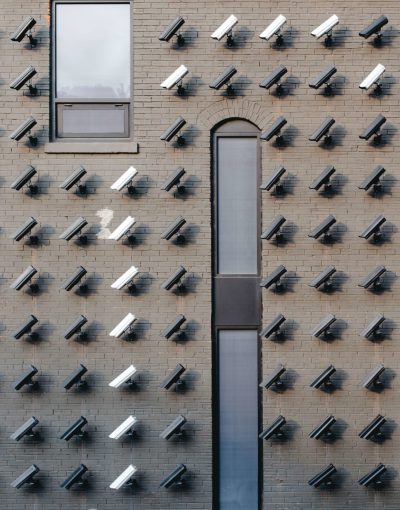 virul-cM-rZb3PbDc-unsplash(1)